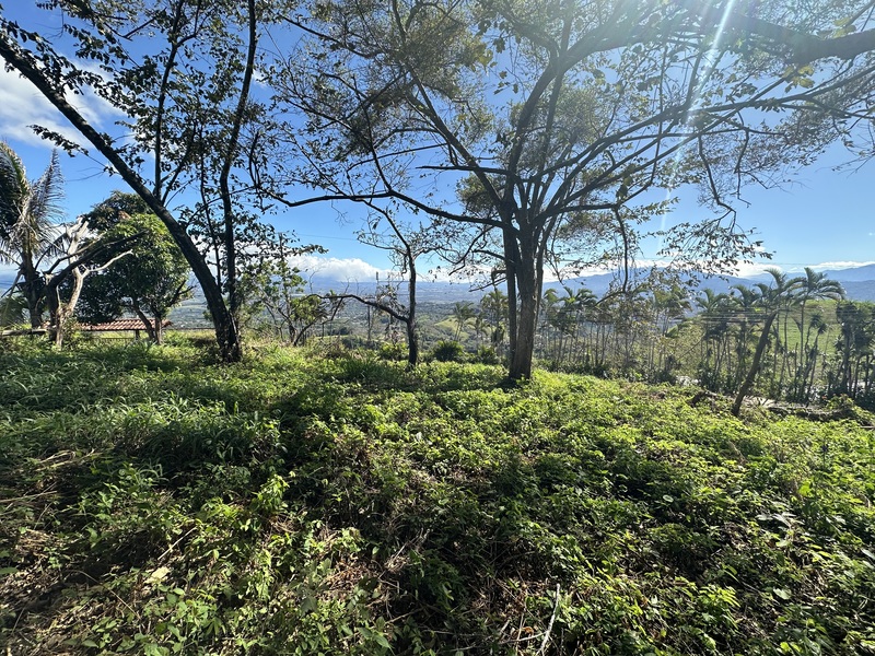 0 bed Land For Sale in Atenas, Alajuela - 1