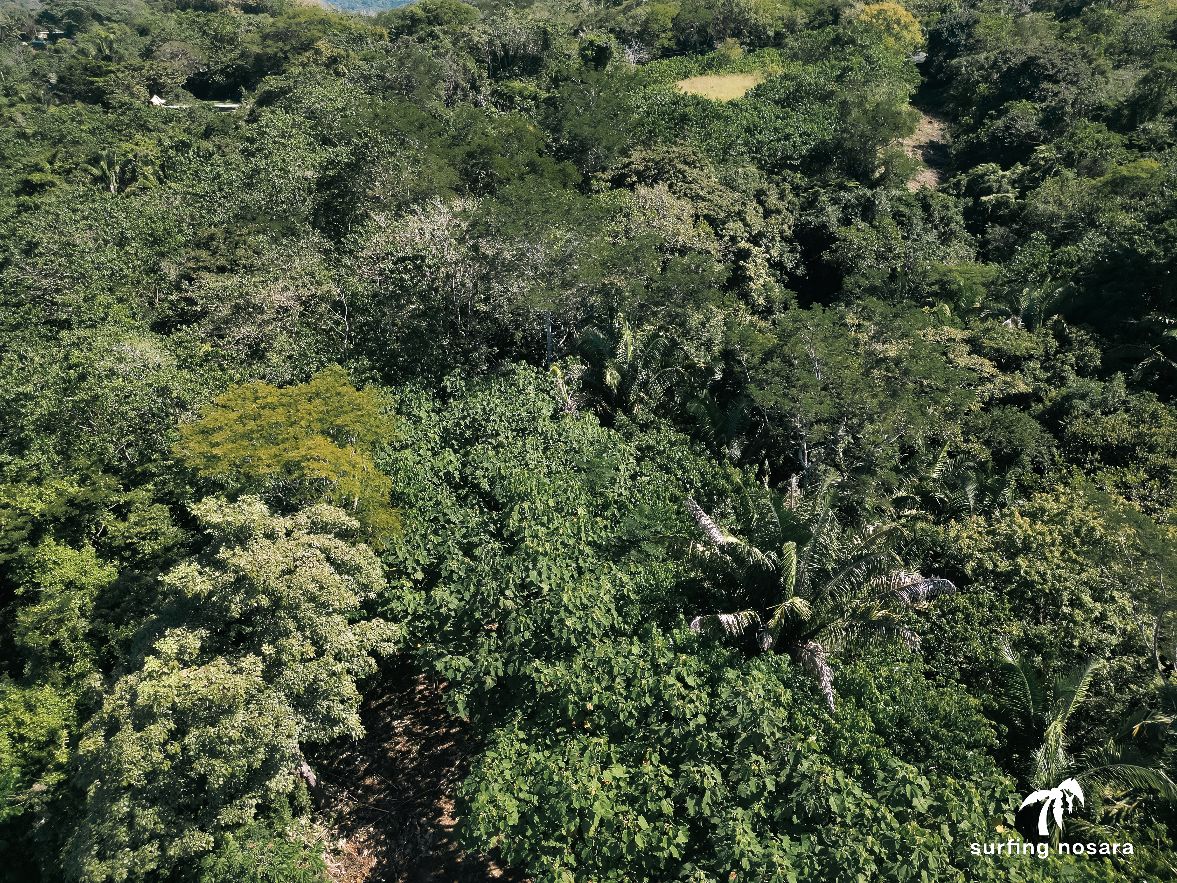 0 bed Land For Sale in Ostional, Guanacaste - thumb 15