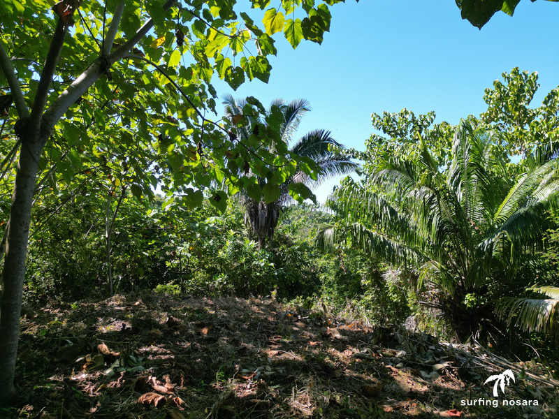0 bed Land For Sale in Ostional, Guanacaste - photo 14