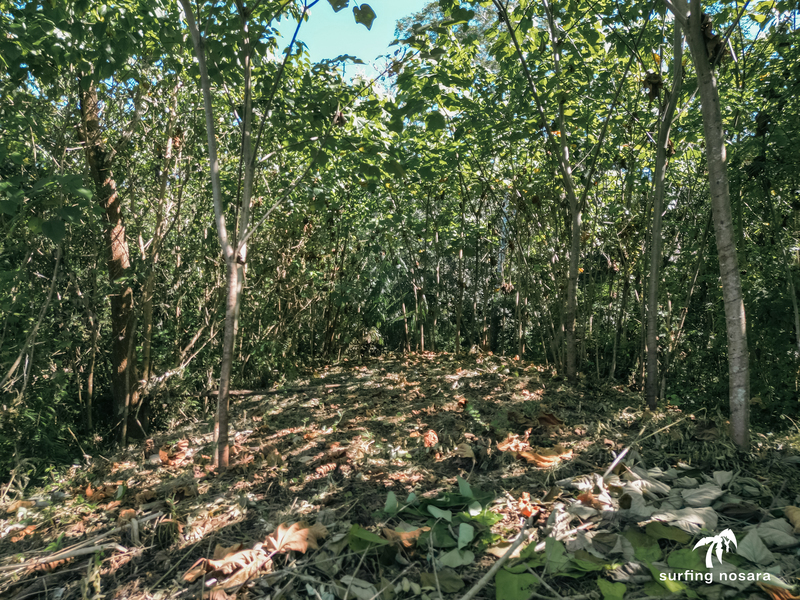 0 bed Land For Sale in Ostional, Guanacaste - photo 3