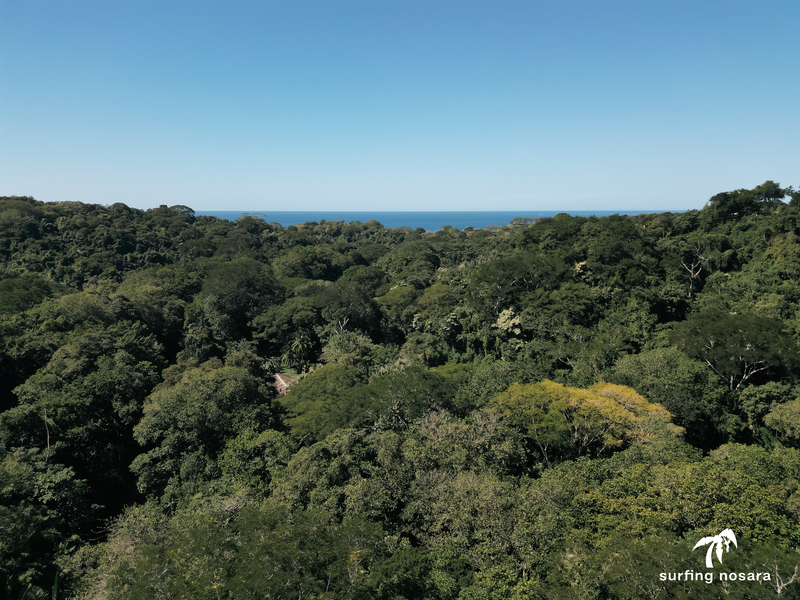 0 bed Land For Sale in Ostional, Guanacaste - photo 16