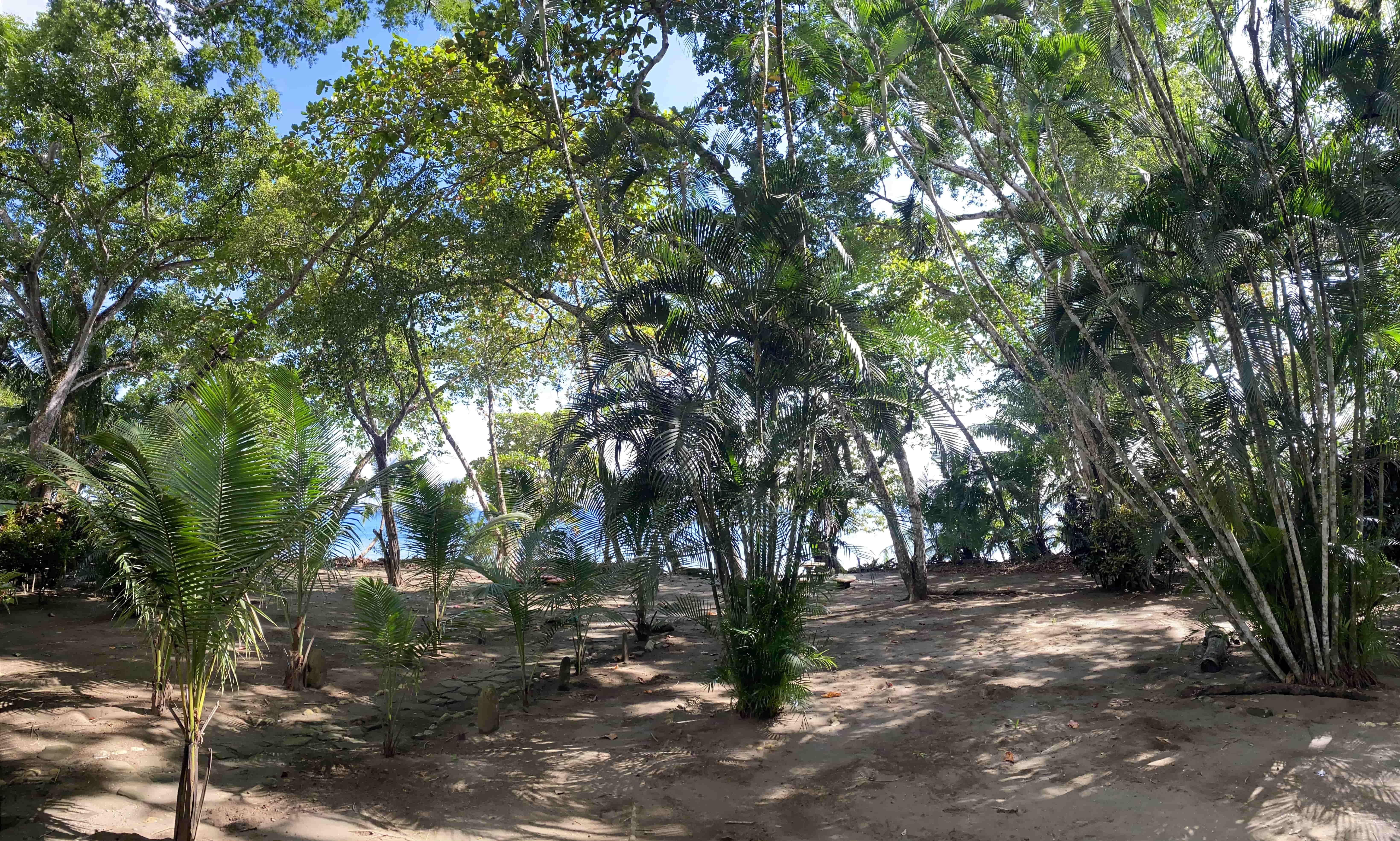 3 bed Single Family Homes For Sale in Puerto Jimenez, Puntarenas - thumb 14