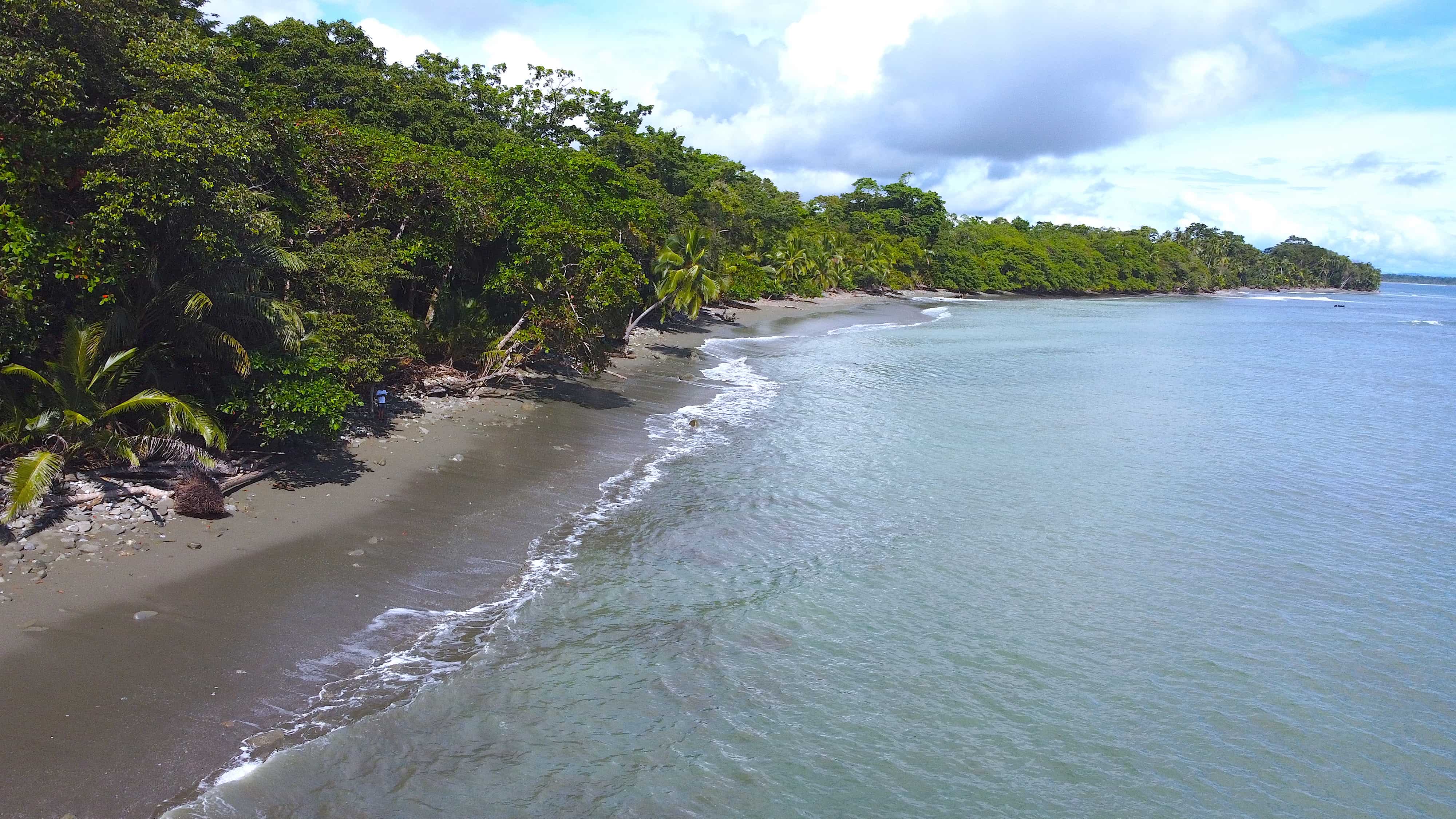 3 bed Single Family Homes For Sale in Puerto Jimenez, Puntarenas - thumb 8