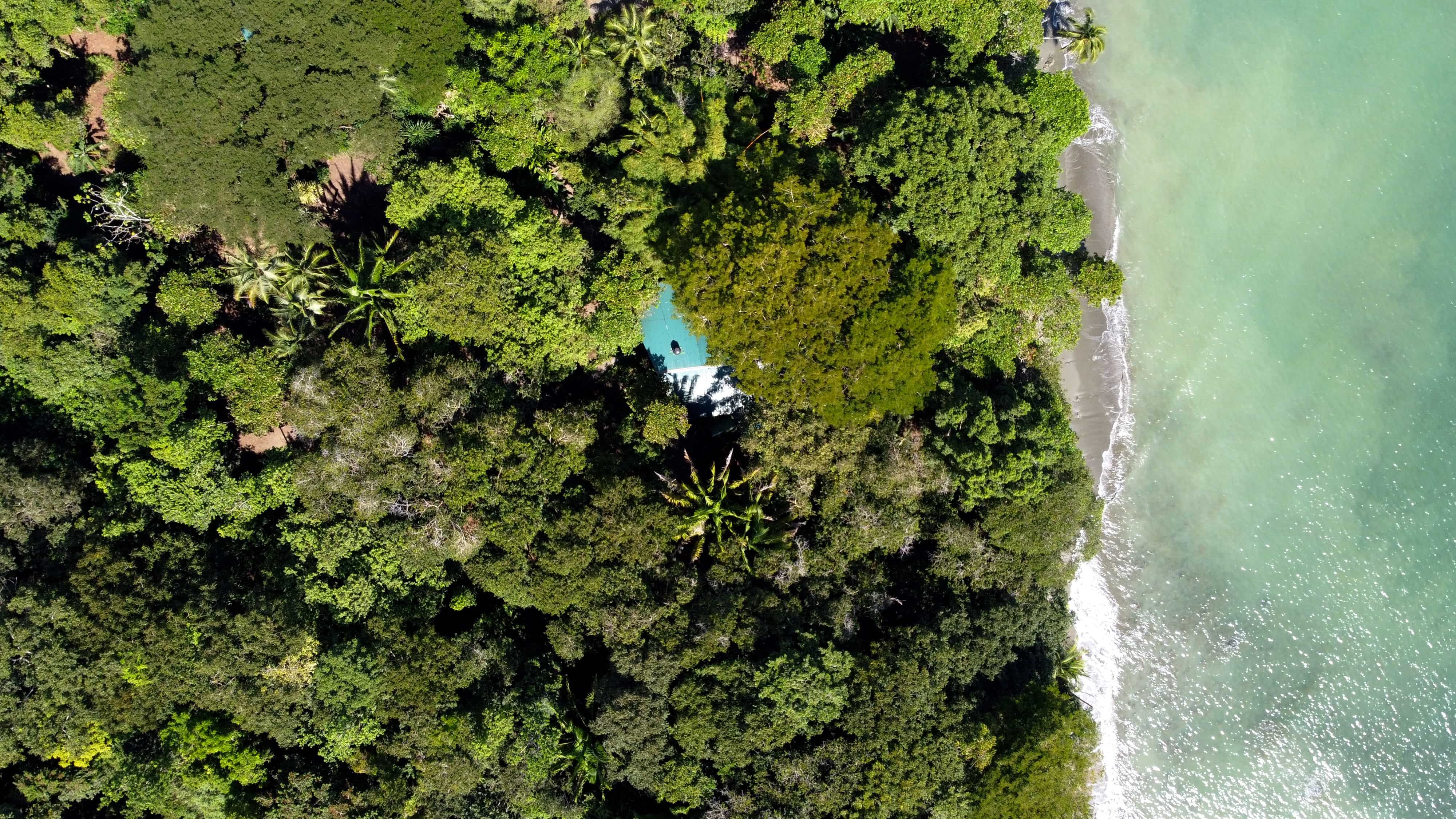 3 bed Single Family Homes For Sale in Puerto Jimenez, Puntarenas - thumb 5