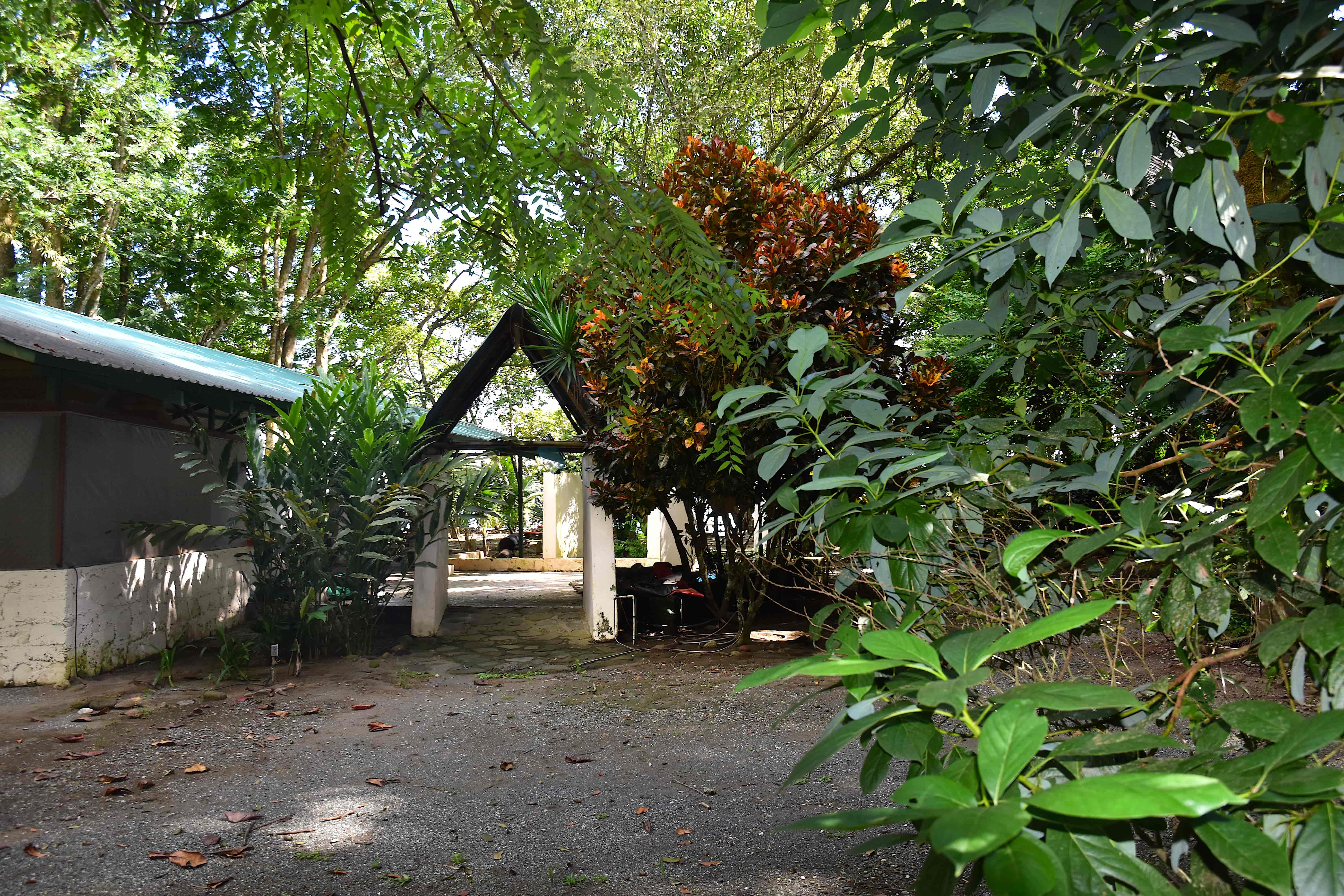 3 bed Single Family Homes For Sale in Puerto Jimenez, Puntarenas - thumb 9