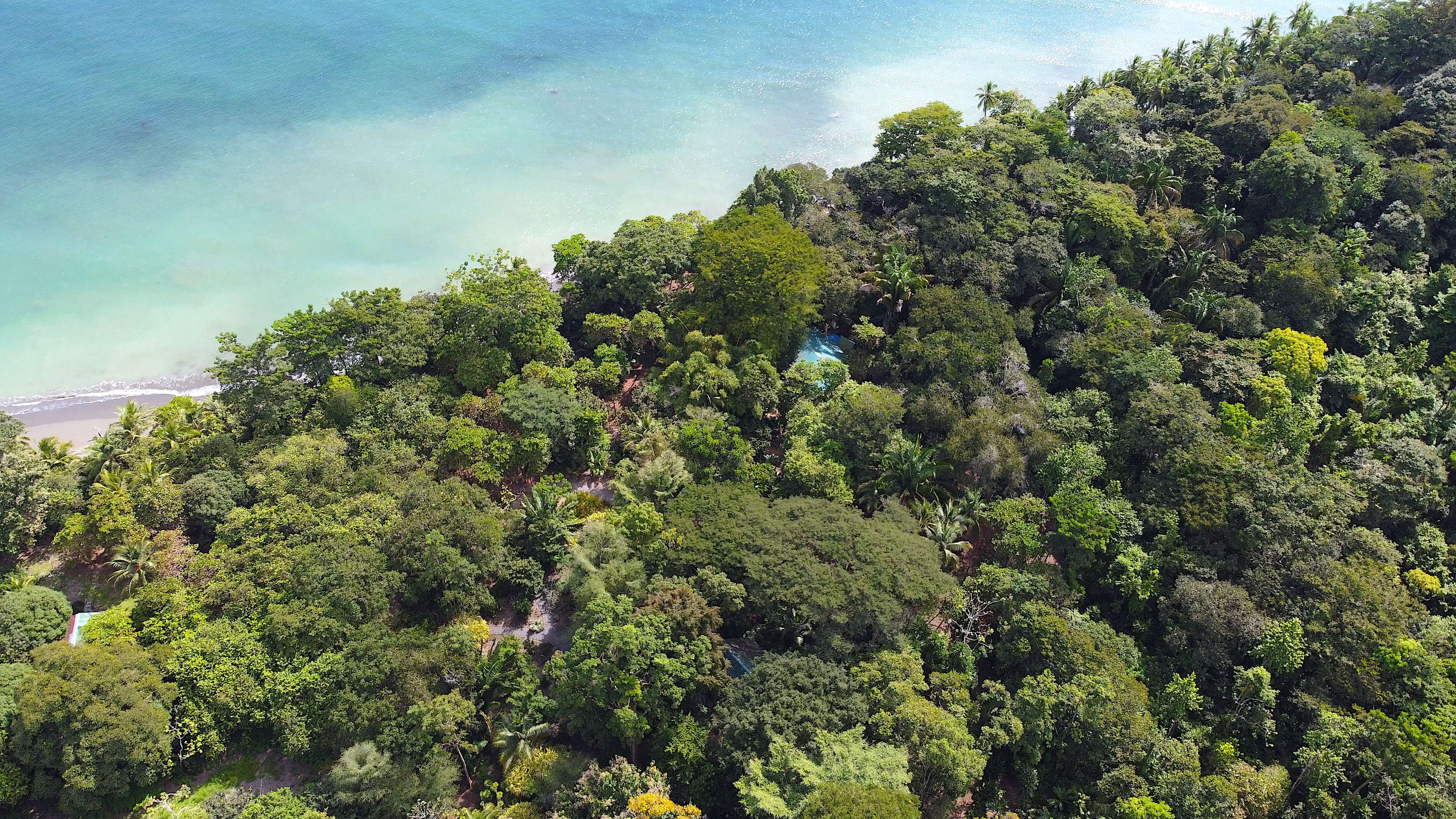 3 bed Single Family Homes For Sale in Puerto Jimenez, Puntarenas - thumb 4