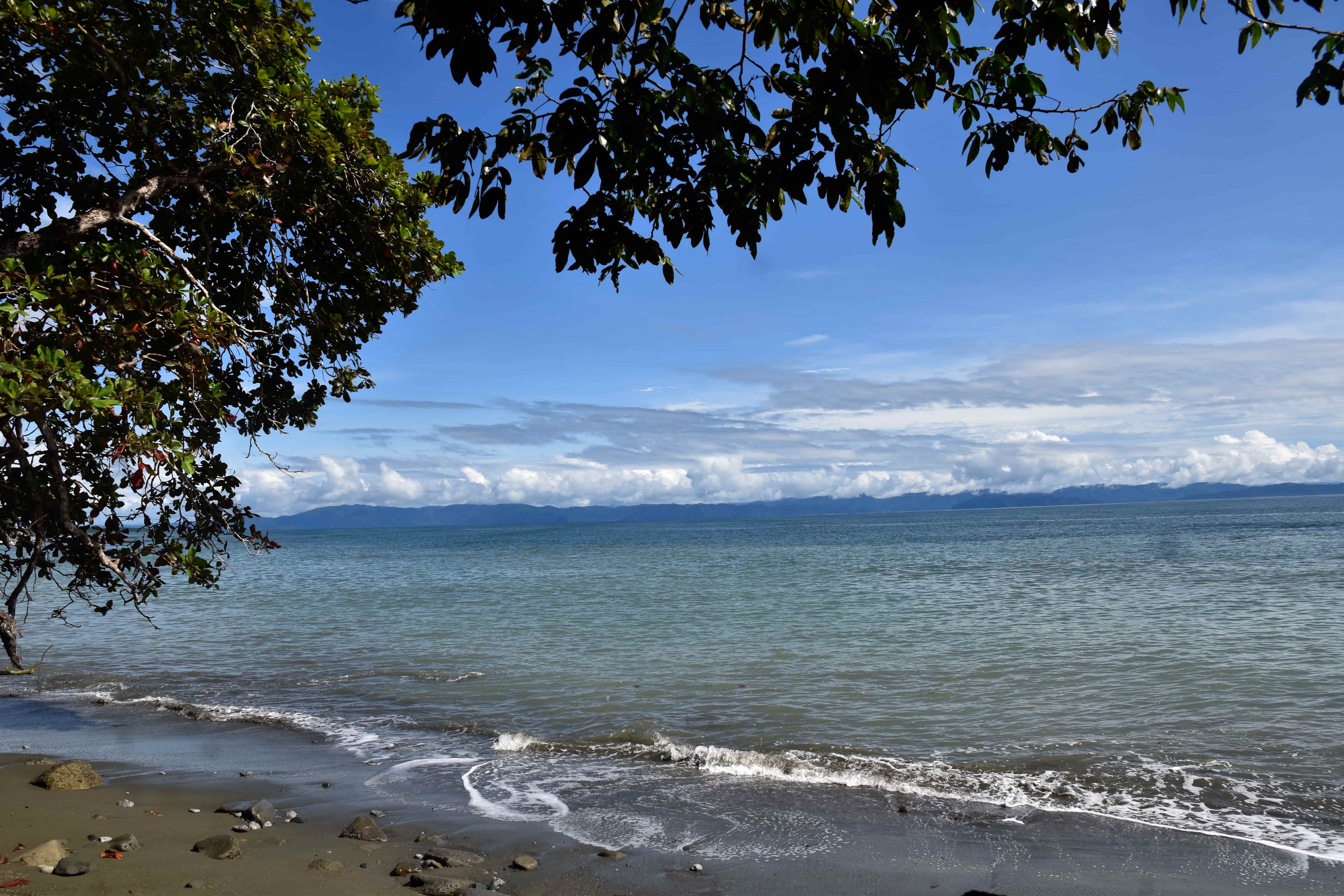 3 bed Single Family Homes For Sale in Puerto Jimenez, Puntarenas - thumb 12