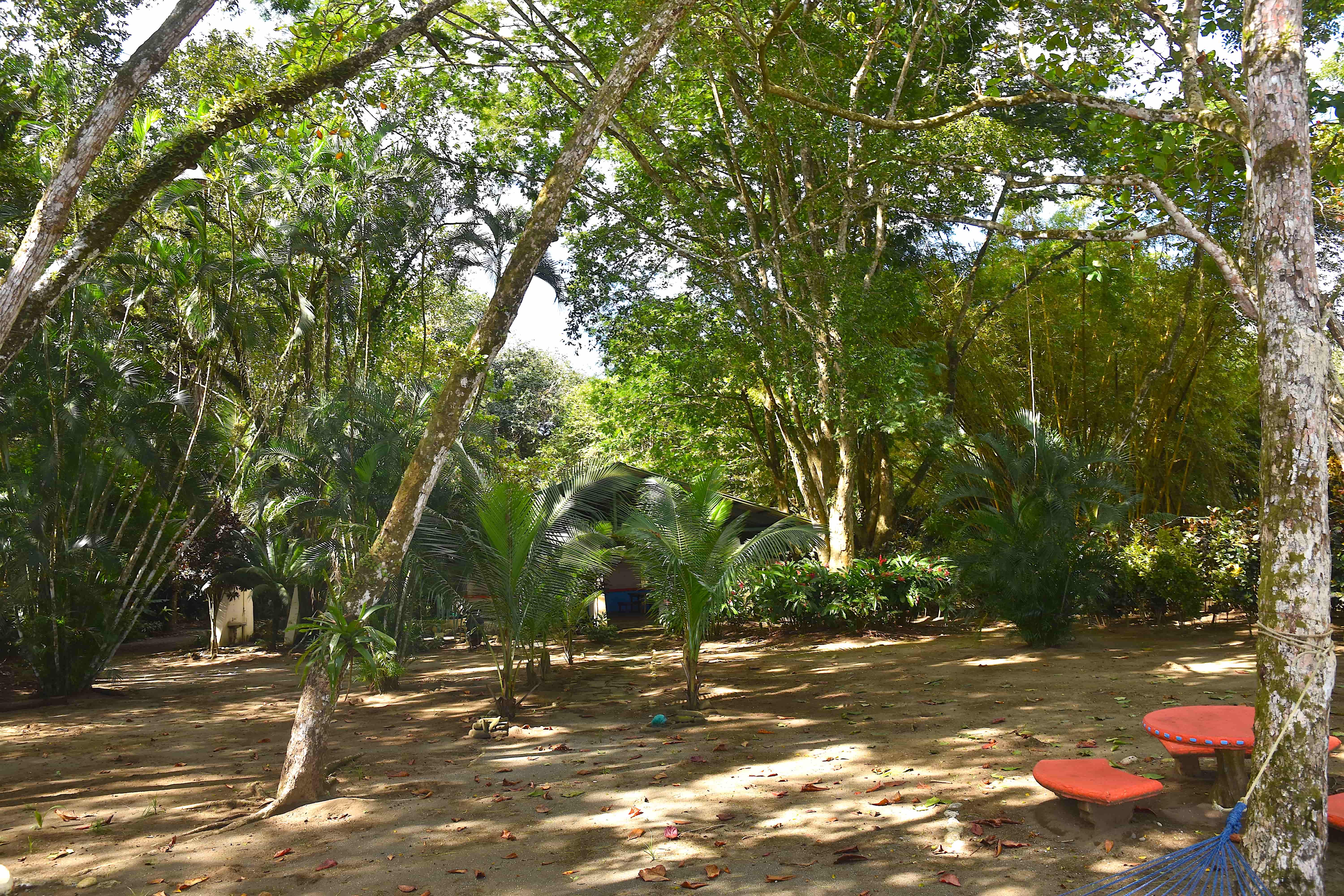 3 bed Single Family Homes For Sale in Puerto Jimenez, Puntarenas - thumb 13