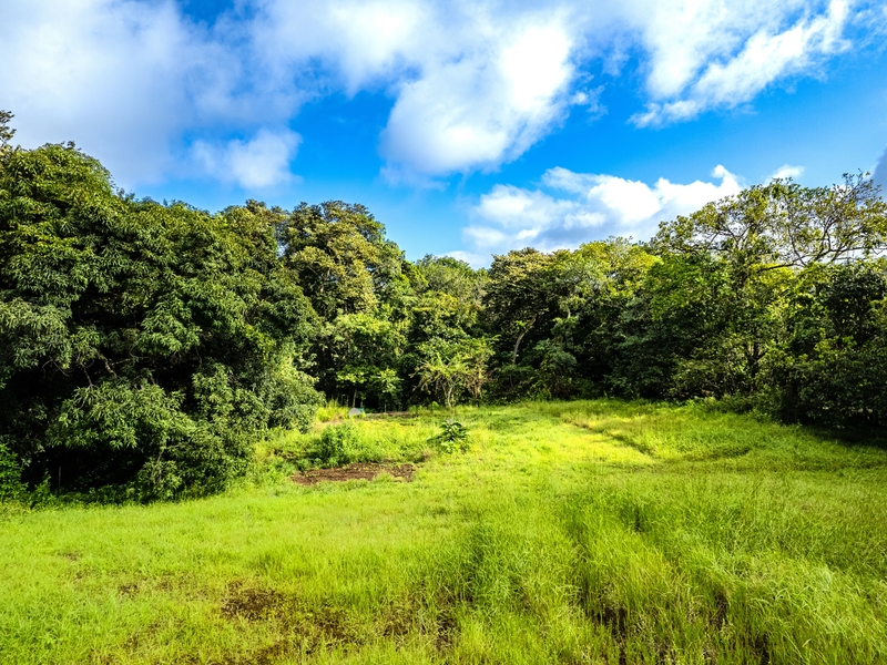 0 bed Land For Sale in Delicias, Puntarenas