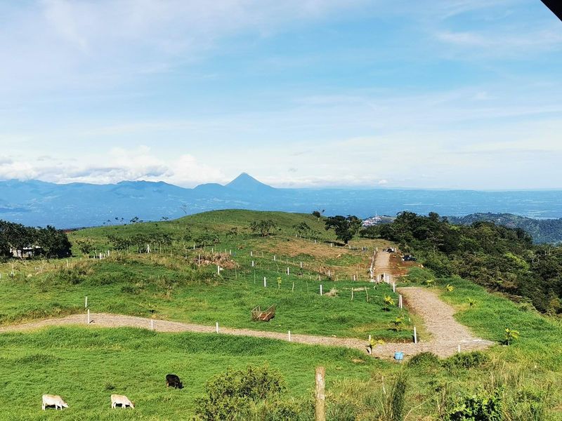 0 bed Land For Sale in San Carlos, Alajuela - 1