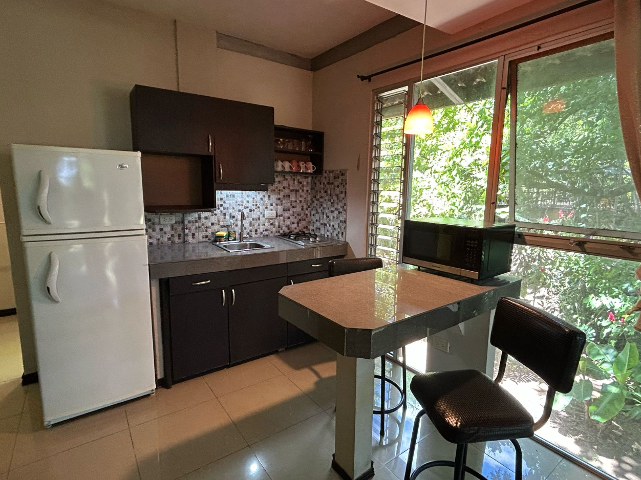 1 bed Apartment For Rent in Atenas, Alajuela - thumb 3