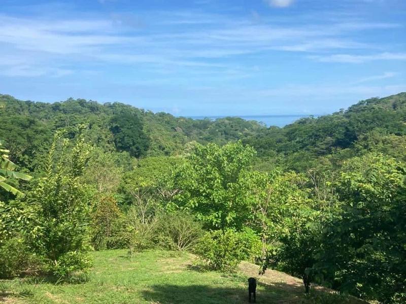 0 bed Land For Sale in Santiago, Puntarenas - 1