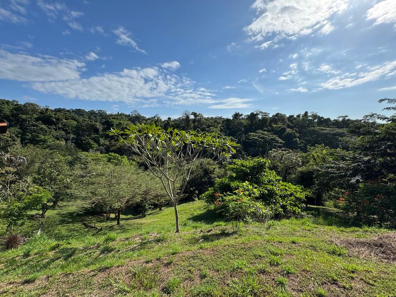 0 bed Land For Sale in Santiago, Puntarenas - 1