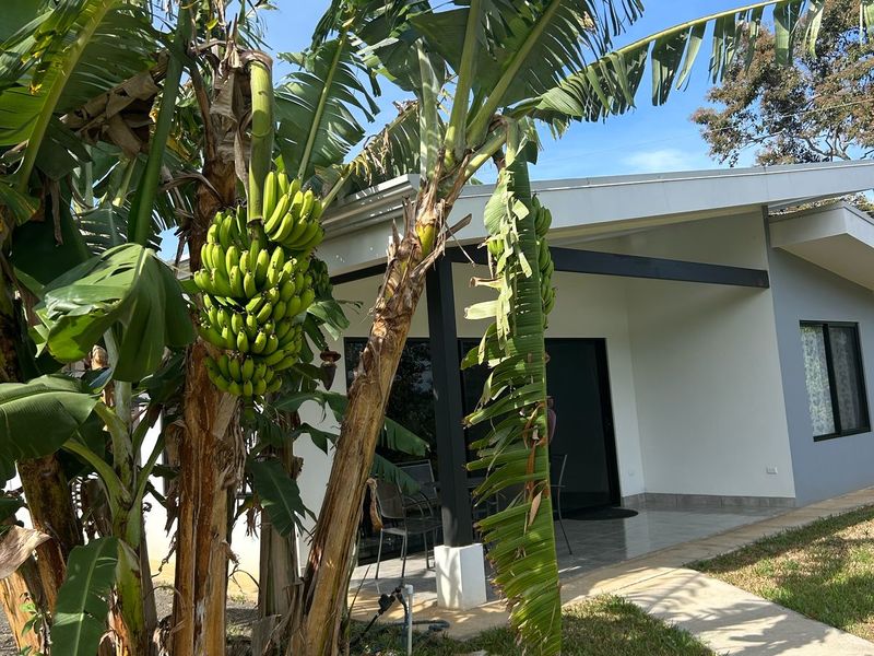 3 bed Single Family Homes For Rent in Atenas, Alajuela - 1