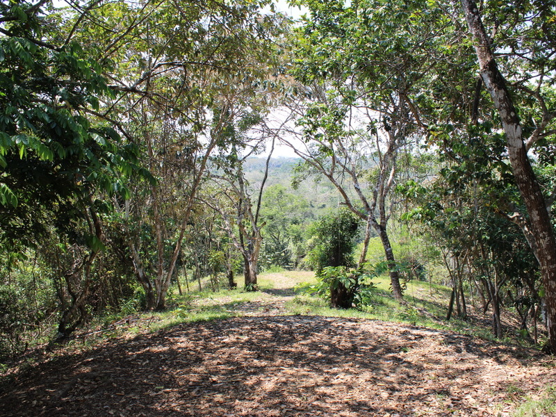 5 bed Single Family Homes For Sale in Montezuma, Puntarenas - 1