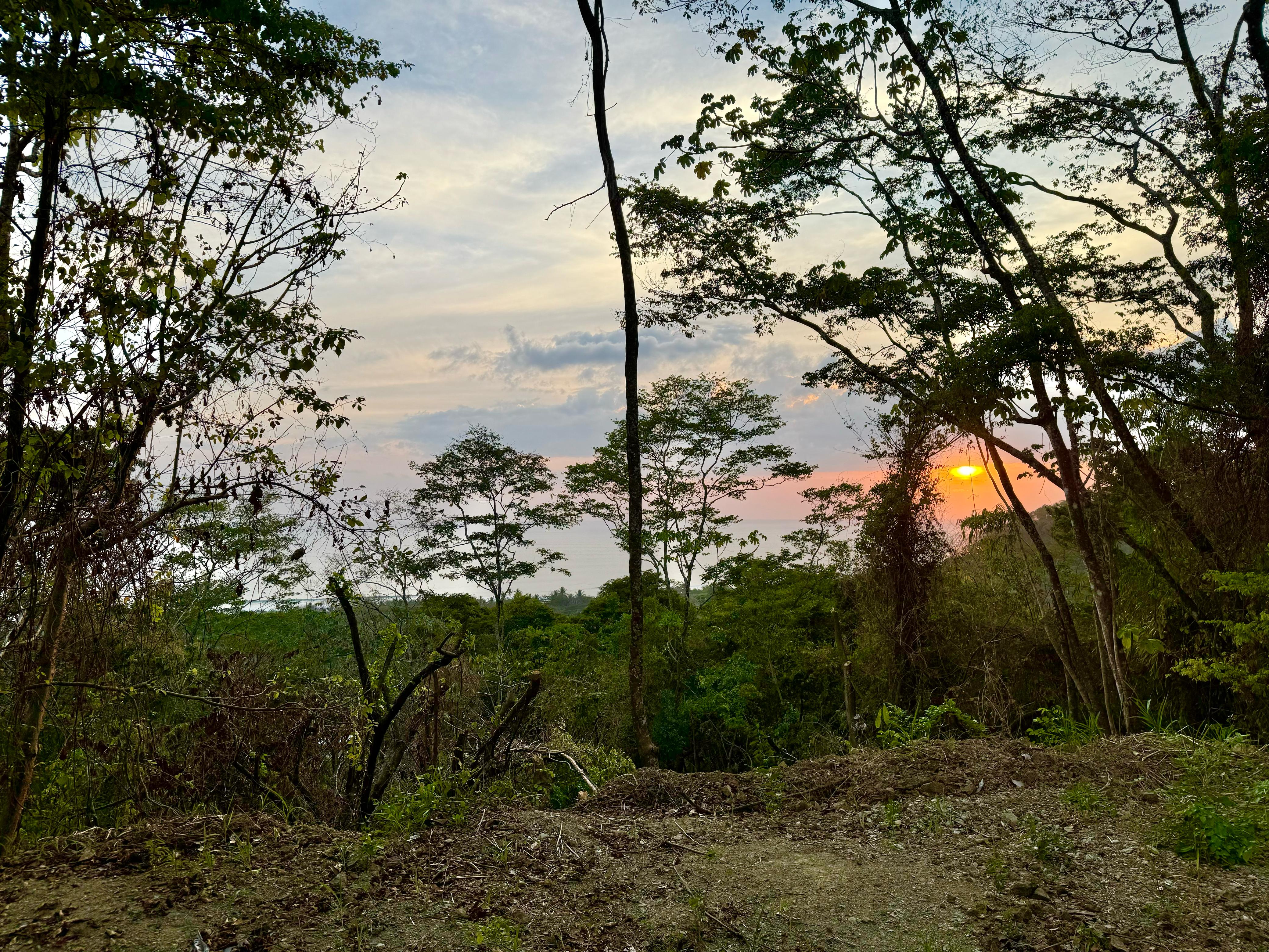 0 bed Land For Sale in Playa Hermosa Santa Teresa, Puntarenas - thumb 15