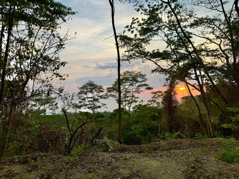 0 bed Land For Sale in Playa Hermosa Santa Teresa, Puntarenas - photo 15