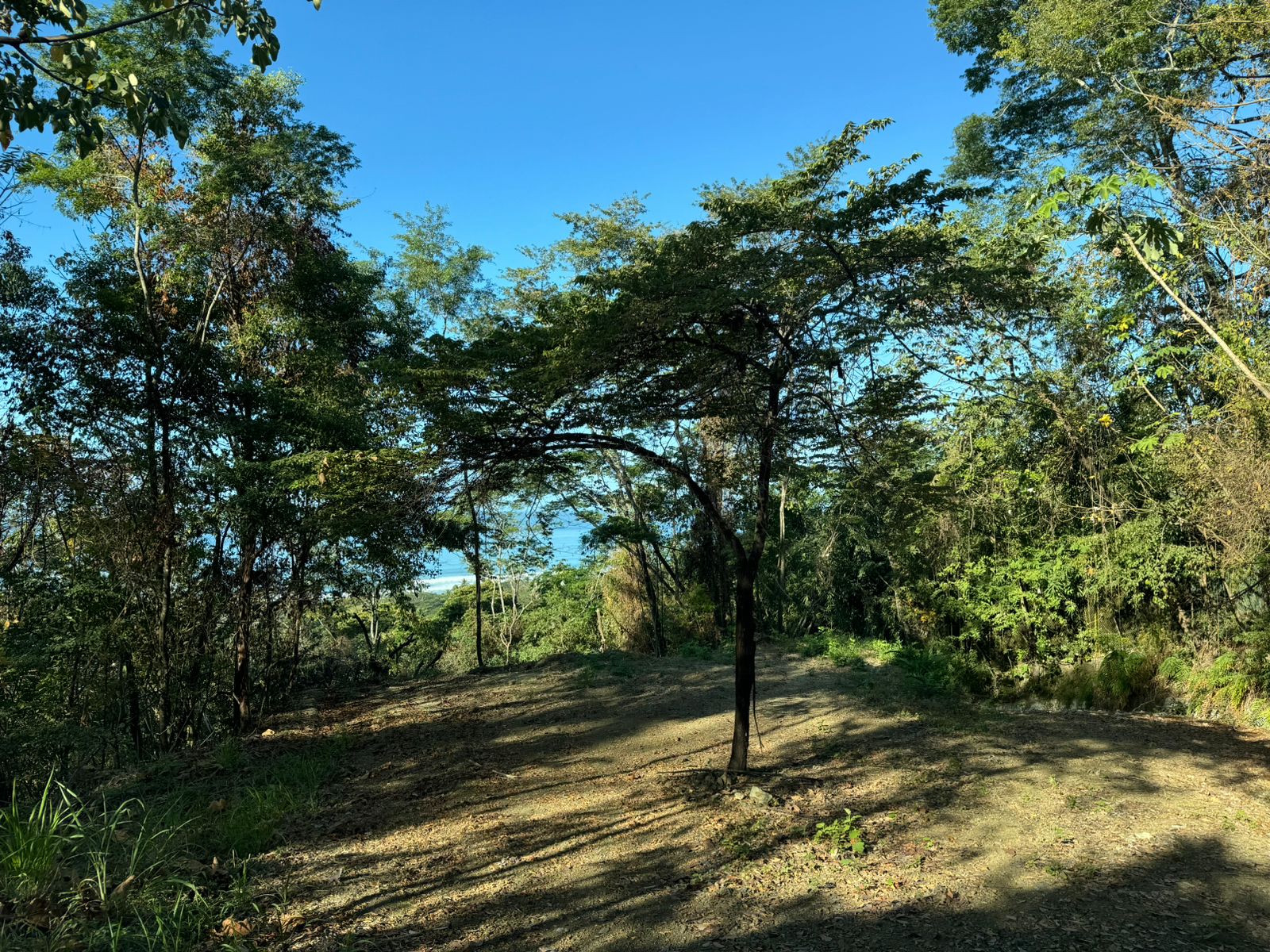 0 bed Land For Sale in Playa Hermosa Santa Teresa, Puntarenas - thumb 5