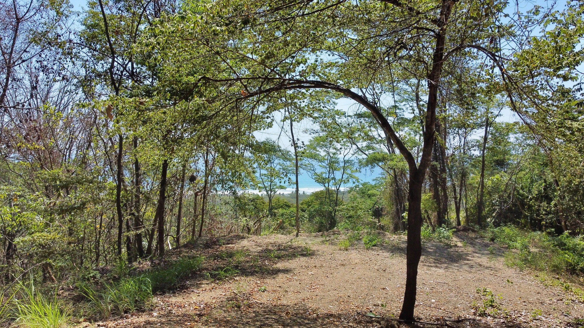 0 bed Land For Sale in Playa Hermosa Santa Teresa, Puntarenas - thumb 1