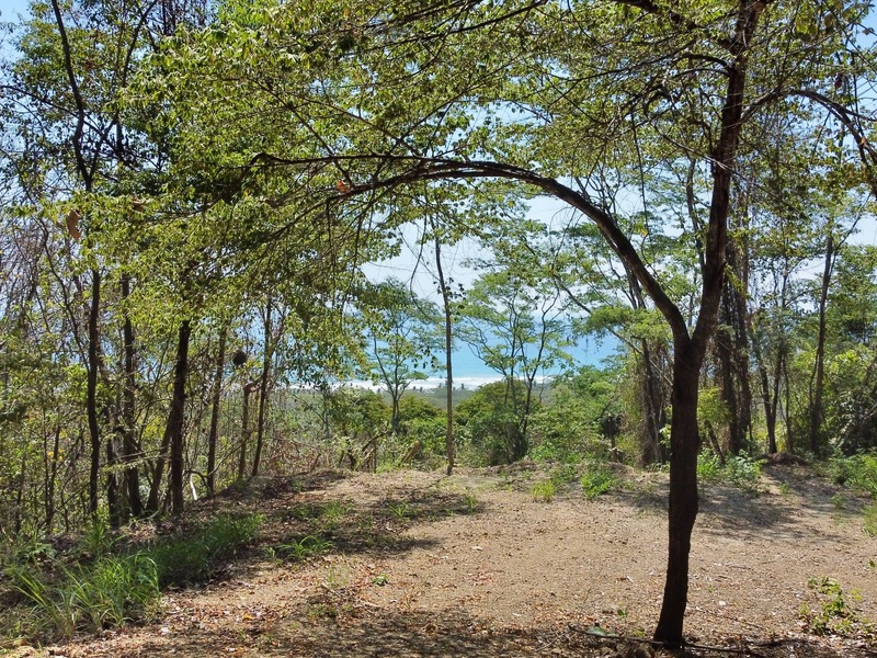 0 bed Land For Sale in Playa Hermosa Santa Teresa, Puntarenas - 1