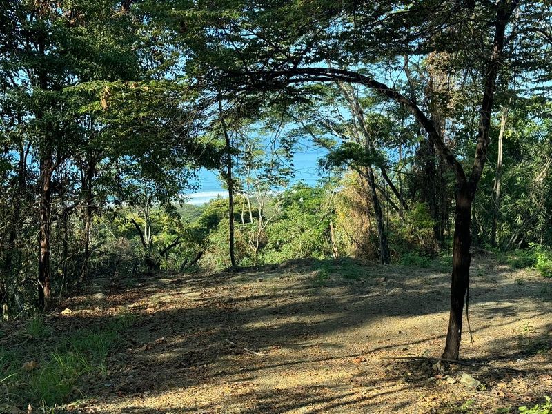 0 bed Land For Sale in Playa Hermosa Santa Teresa, Puntarenas - photo 7