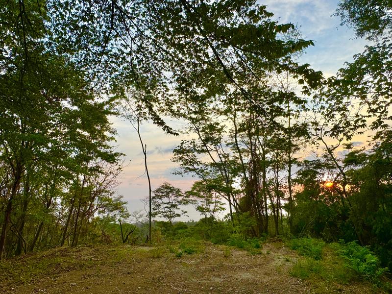 0 bed Land For Sale in Playa Hermosa Santa Teresa, Puntarenas - photo 16