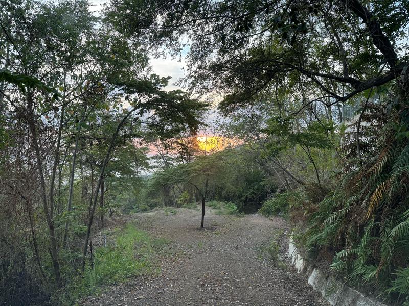 0 bed Land For Sale in Playa Hermosa Santa Teresa, Puntarenas - photo 12