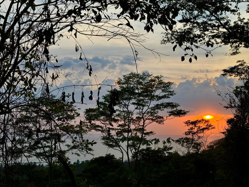 0 bed Land For Sale in Playa Hermosa Santa Teresa, Puntarenas - photo 14