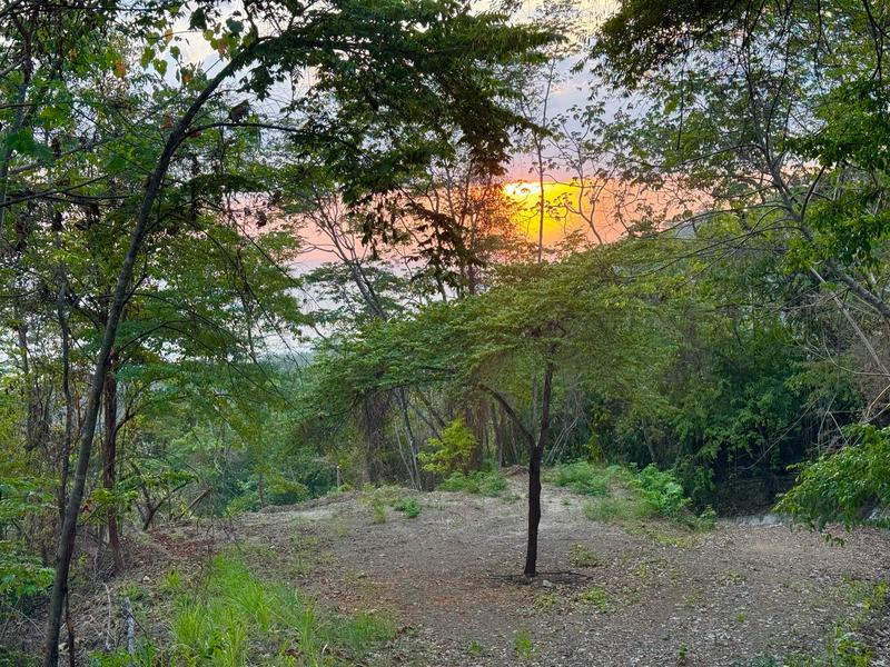 0 bed Land For Sale in Playa Hermosa Santa Teresa, Puntarenas - photo 13