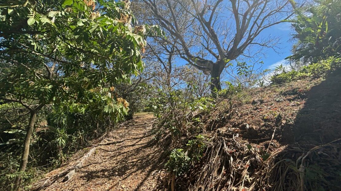 3 bed Single Family Homes For Sale in Alajuela, Alajuela - thumb 4