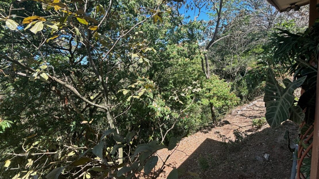 3 bed Single Family Homes For Sale in Alajuela, Alajuela - thumb 12