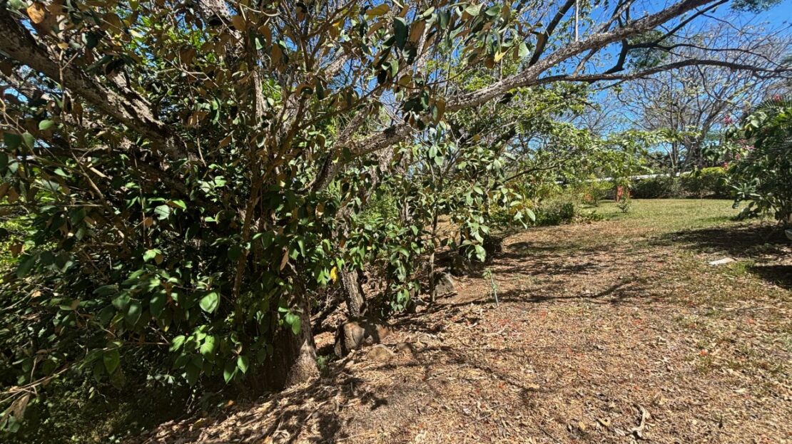 3 bed Single Family Homes For Sale in Alajuela, Alajuela - thumb 10