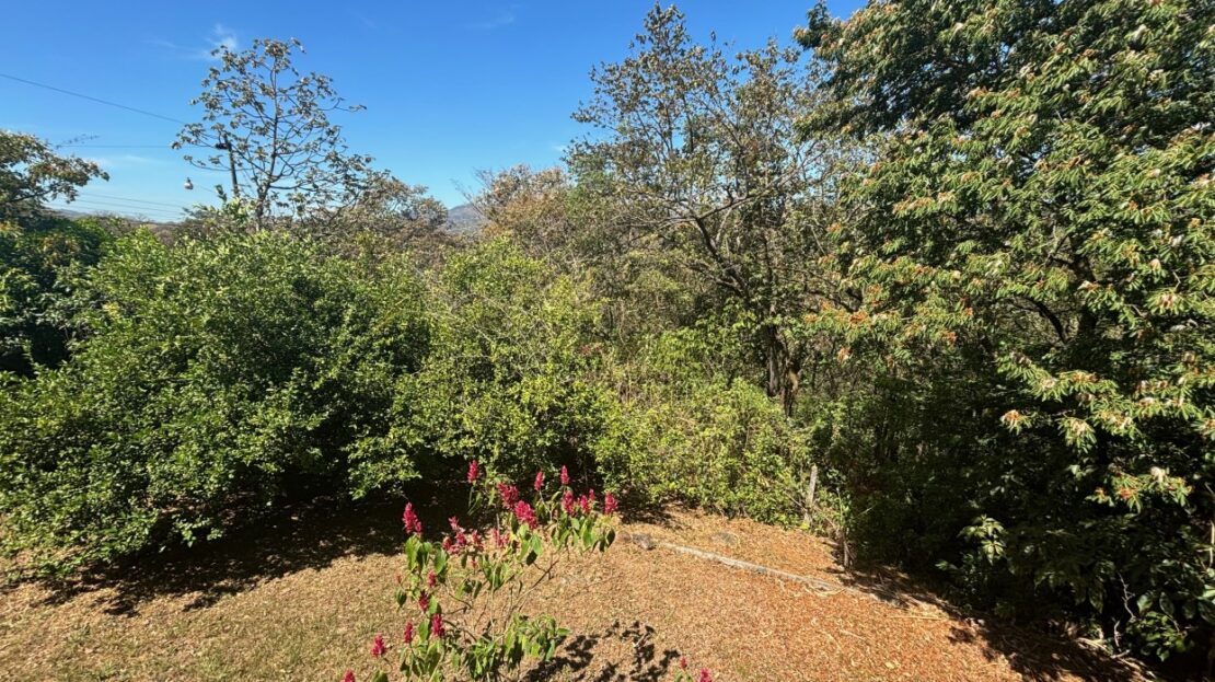 3 bed Single Family Homes For Sale in Alajuela, Alajuela - thumb 20