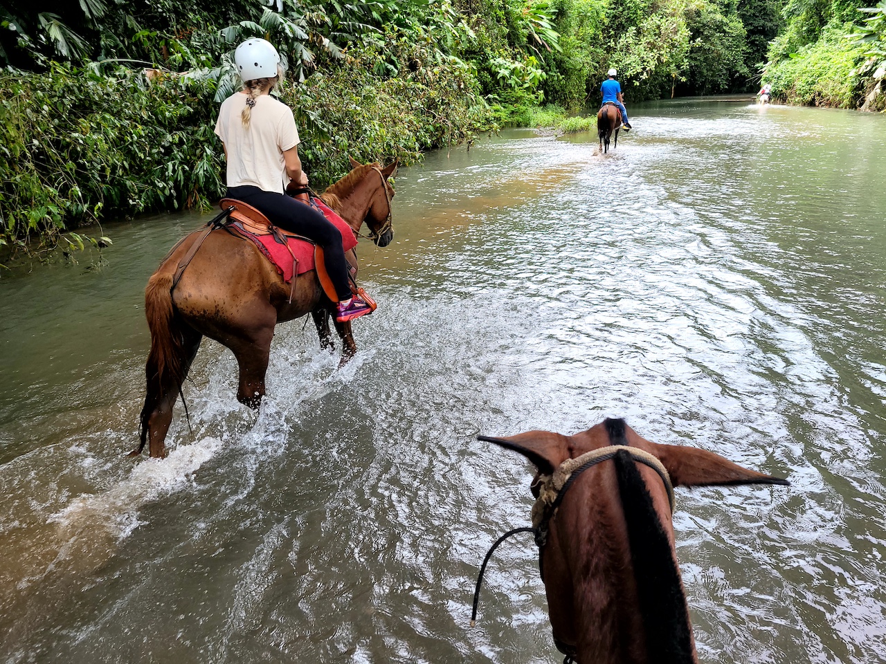 0 bed Land For Sale in Drake Bay, Puntarenas - thumb 2