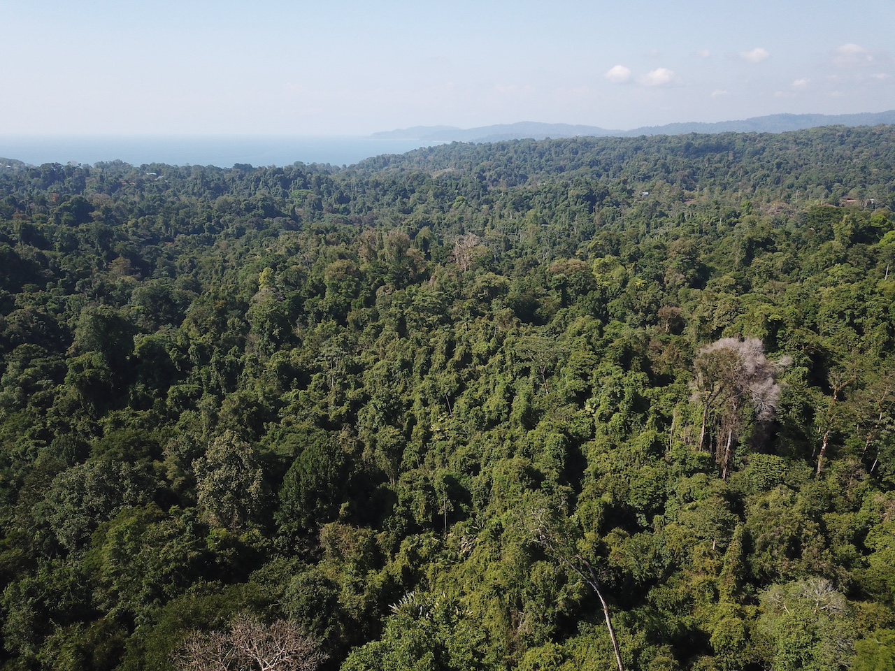 0 bed Land For Sale in Drake Bay, Puntarenas - thumb 12