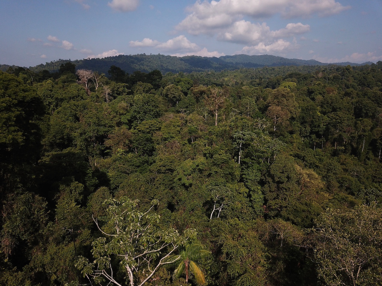 0 bed Land For Sale in Drake Bay, Puntarenas - thumb 14