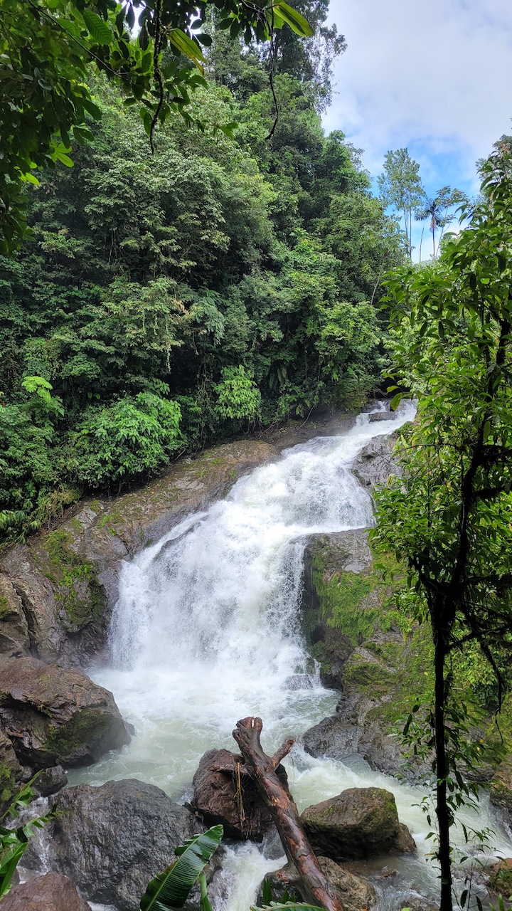 0 bed Land For Sale in Drake Bay, Puntarenas - thumb 4