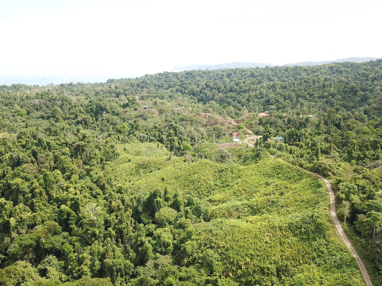 0 bed Land For Sale in Drake Bay, Puntarenas - thumb 9