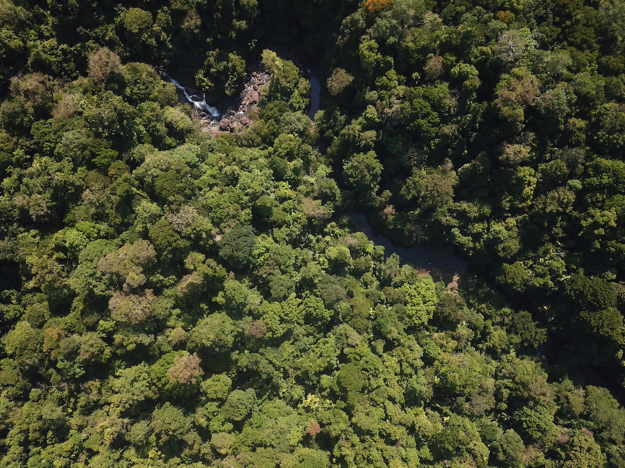 0 bed Land For Sale in Drake Bay, Puntarenas - thumb 16