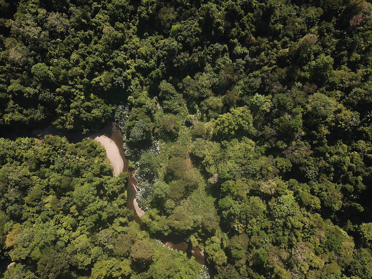 0 bed Land For Sale in Drake Bay, Puntarenas - thumb 15