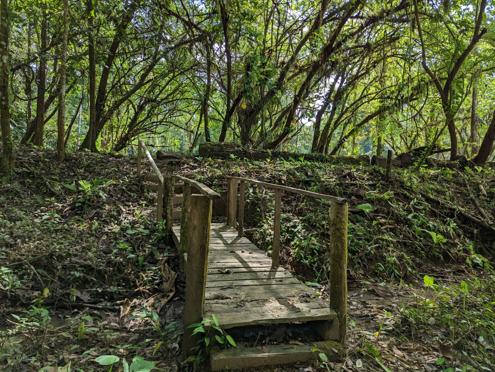 0 bed Land For Sale in Drake Bay, Puntarenas - thumb 18