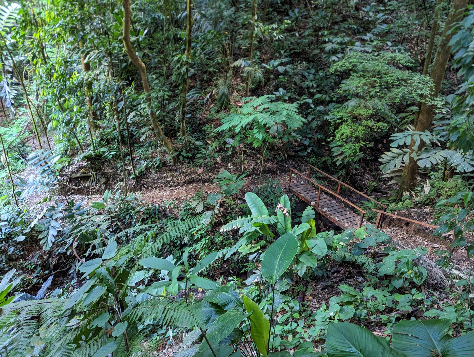 0 bed Land For Sale in Drake Bay, Puntarenas - thumb 20