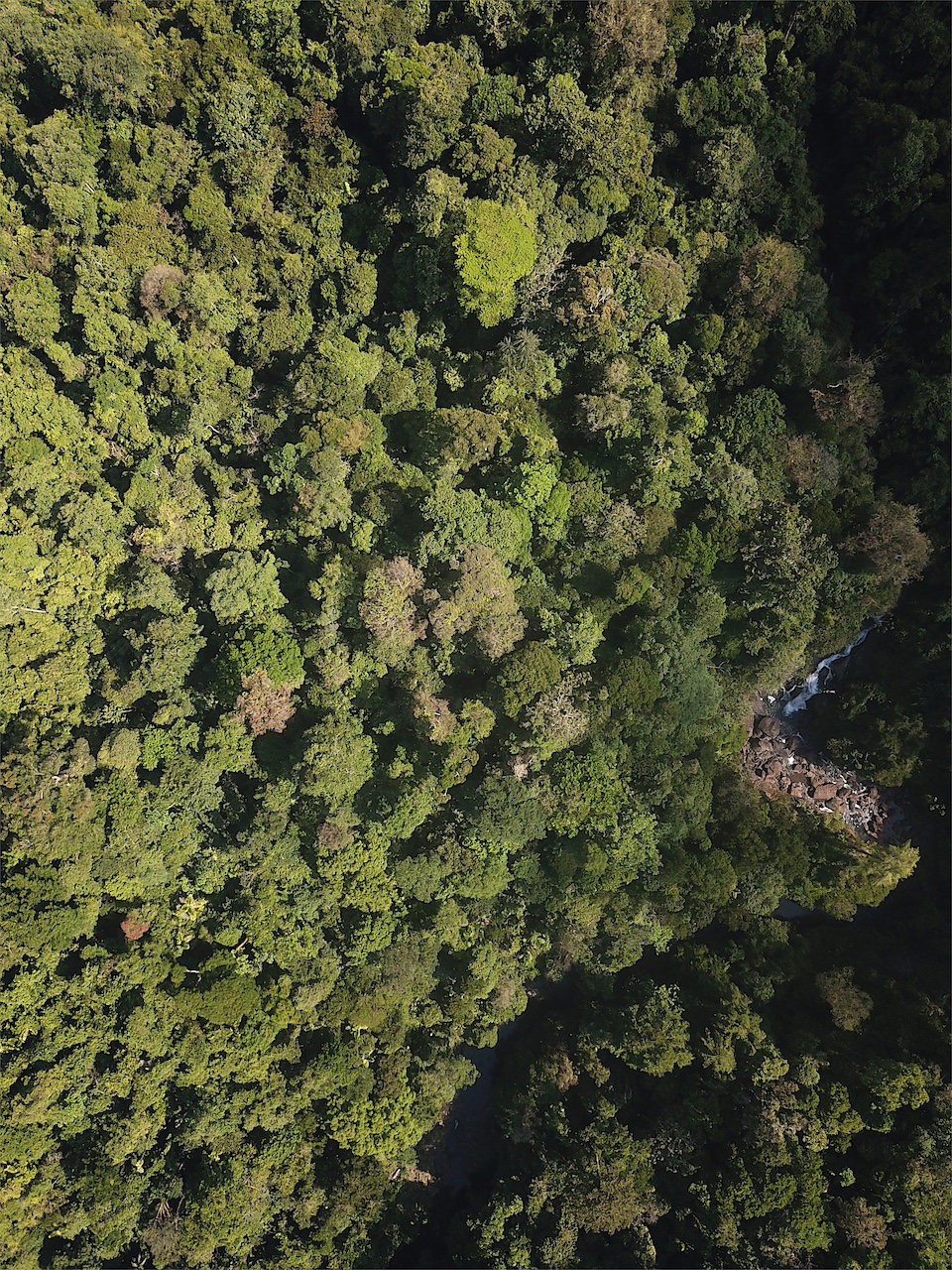 0 bed Land For Sale in Drake Bay, Puntarenas - thumb 17