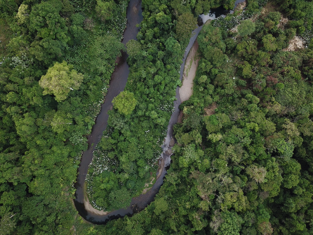 0 bed Land For Sale in Drake Bay, Puntarenas - thumb 13