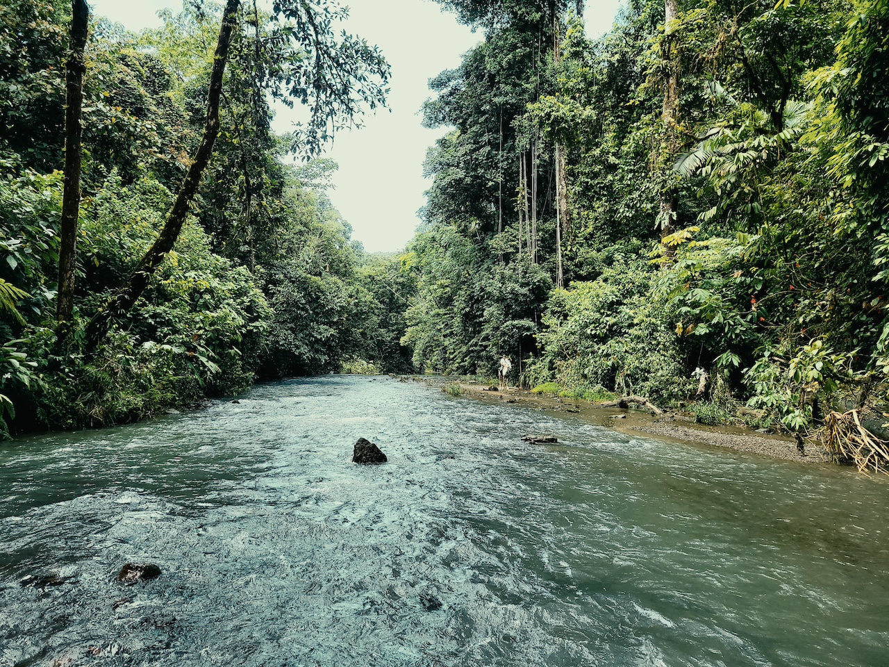 0 bed Land For Sale in Drake Bay, Puntarenas - thumb 3