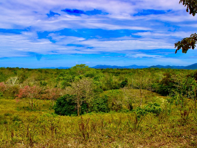 0 bed Communities For Sale in Santa Teresa, Puntarenas