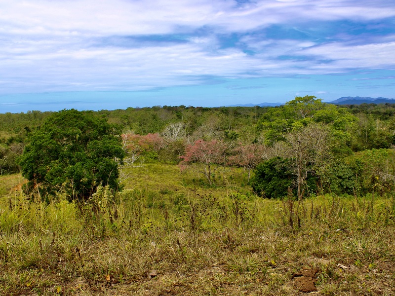 0 bed Communities For Sale in Santa Teresa, Puntarenas - 2