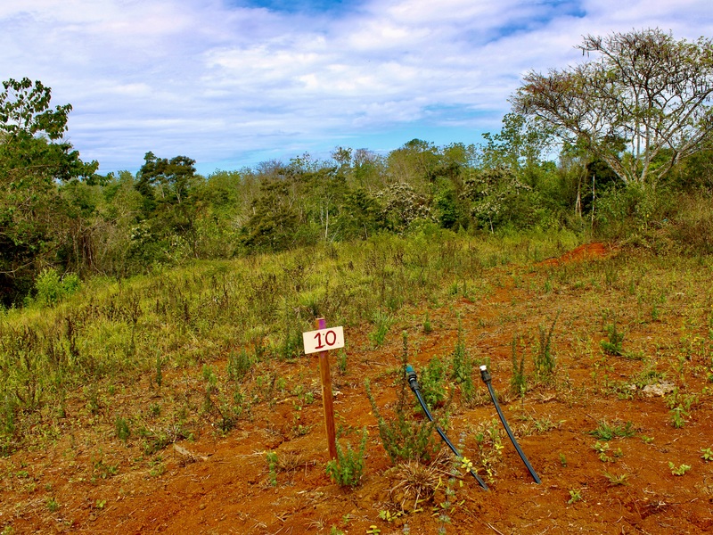 0 bed Developments For Sale in Santa Teresa, Puntarenas - hero 18