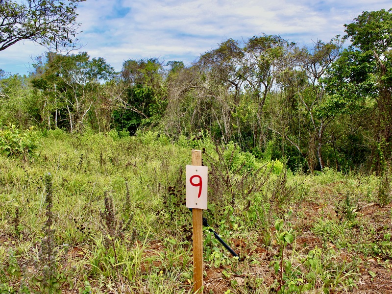 0 bed Developments For Sale in Santa Teresa, Puntarenas - hero 17