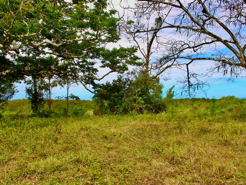 0 bed Developments For Sale in Santa Teresa, Puntarenas - hero 8